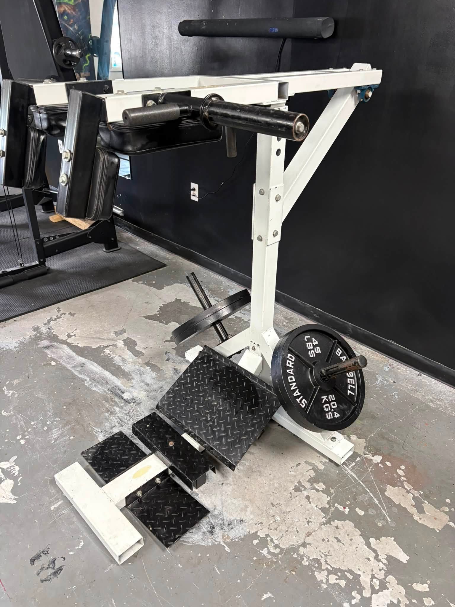 Plate-loaded strength equipment inside Black Iron Syndicate
